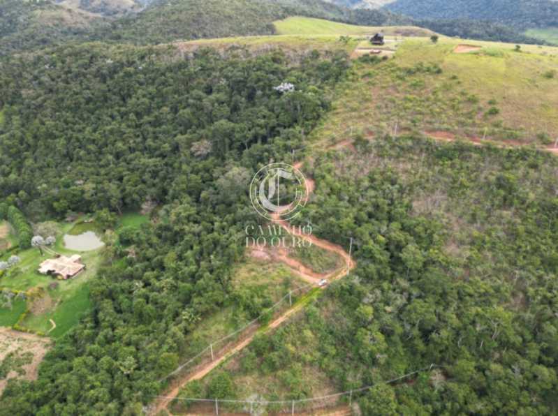Terreno, 2 hectares - Foto 6