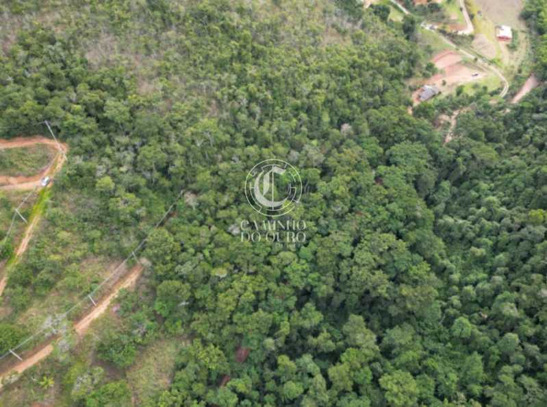 Terreno, 2 hectares - Foto 7