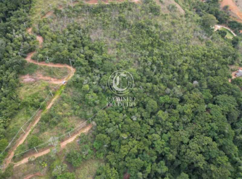 Terreno, 2 hectares - Foto 8