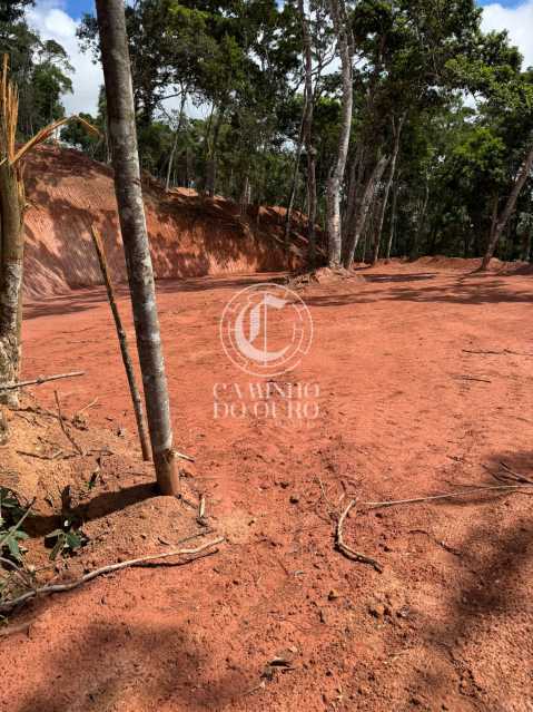 Terreno, 2086 m² - Foto 5