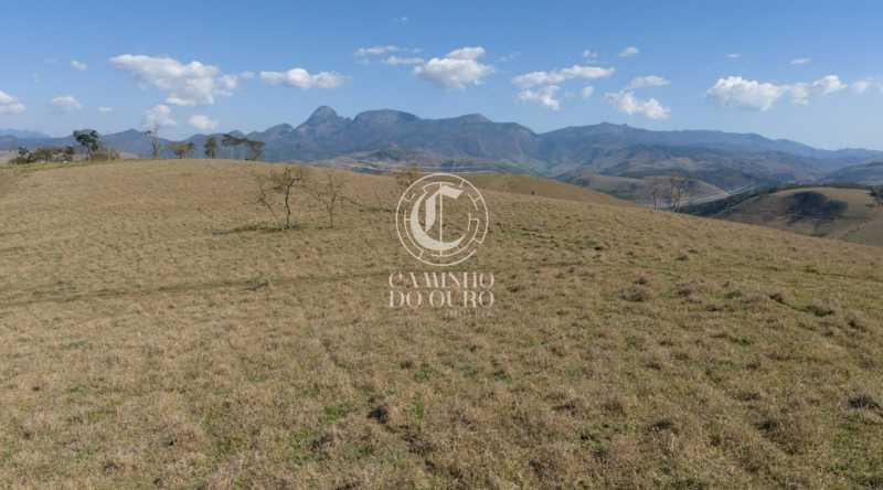 Fazenda - Foto 1