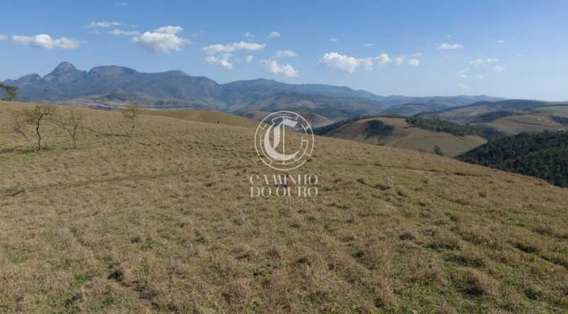 Fazenda - Foto 6