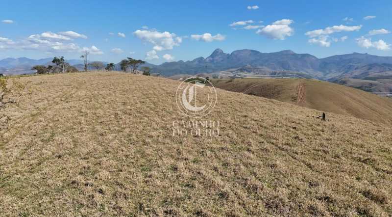 Fazenda - Foto 8