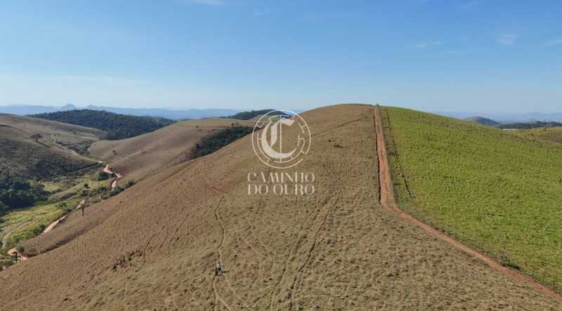 Fazenda - Foto 4