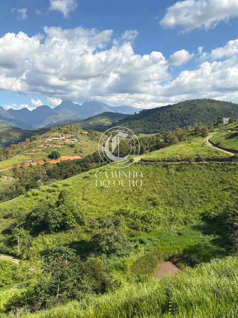Terreno, 2 hectares - Foto 7
