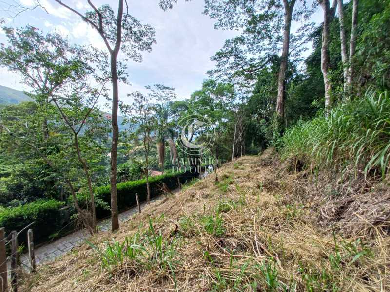 Terreno, 2 hectares - Foto 13