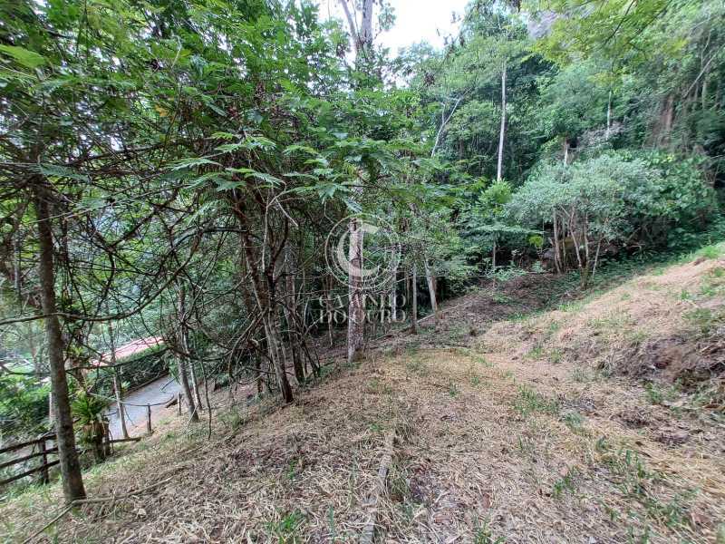 Terreno, 2 hectares - Foto 14
