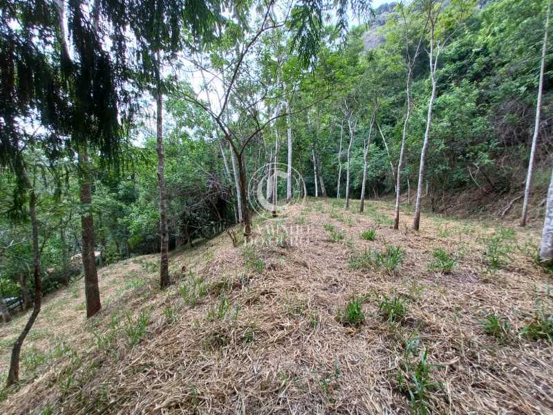 Terreno, 2 hectares - Foto 6