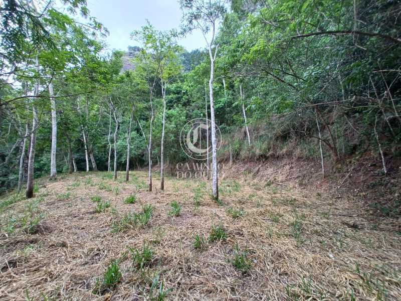 Terreno, 2 hectares - Foto 7