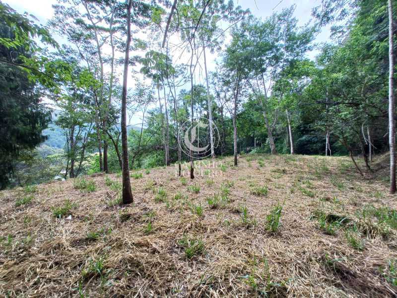 Terreno, 2 hectares - Foto 9