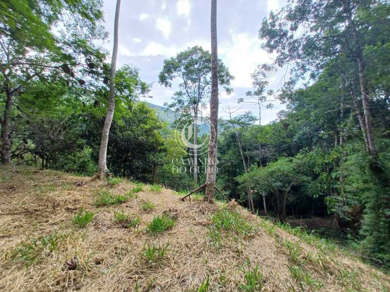 Terreno, 2 hectares - Foto 17