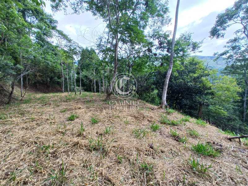 Terreno, 2 hectares - Foto 18