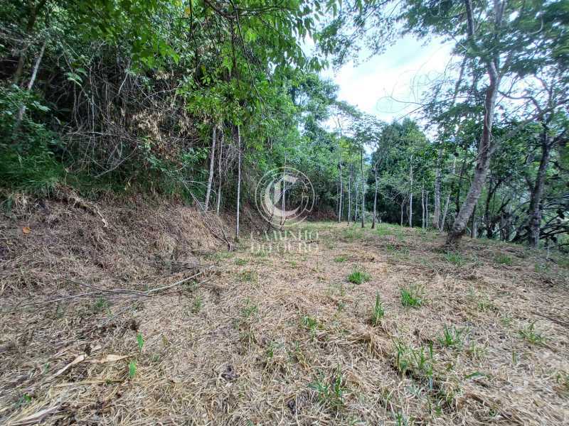 Terreno, 2 hectares - Foto 19