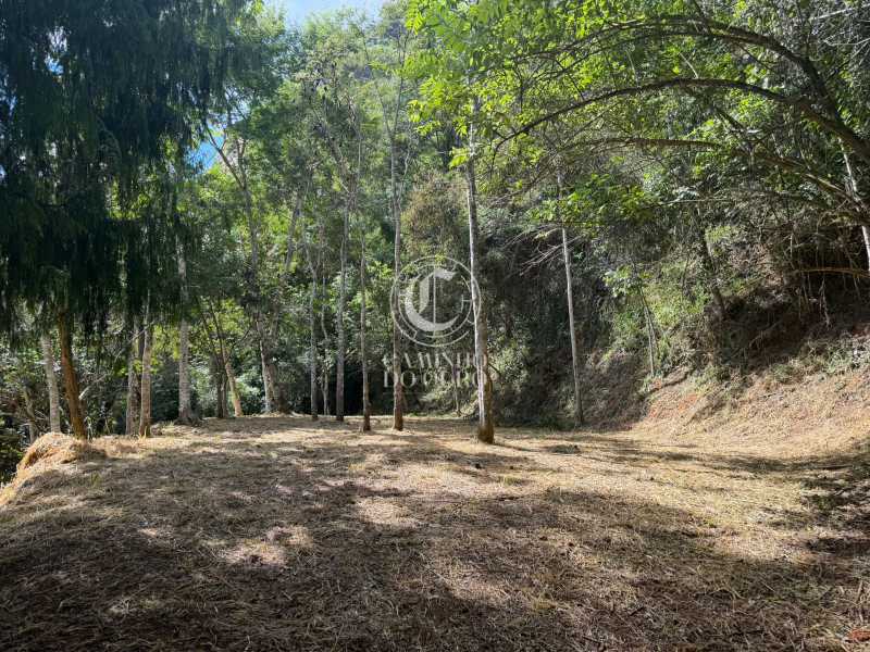 Terreno, 2 hectares - Foto 1