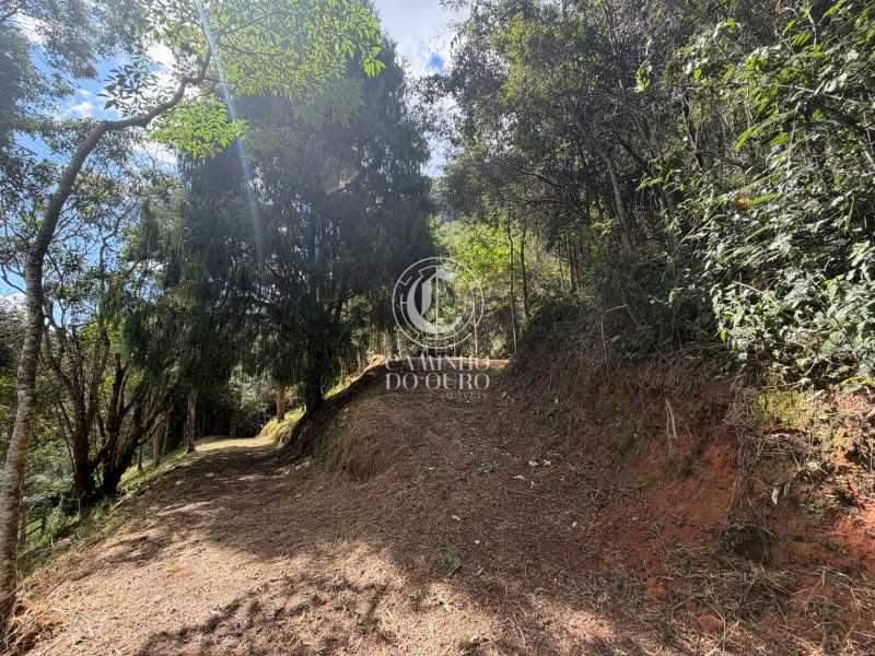 Terreno, 2 hectares - Foto 3