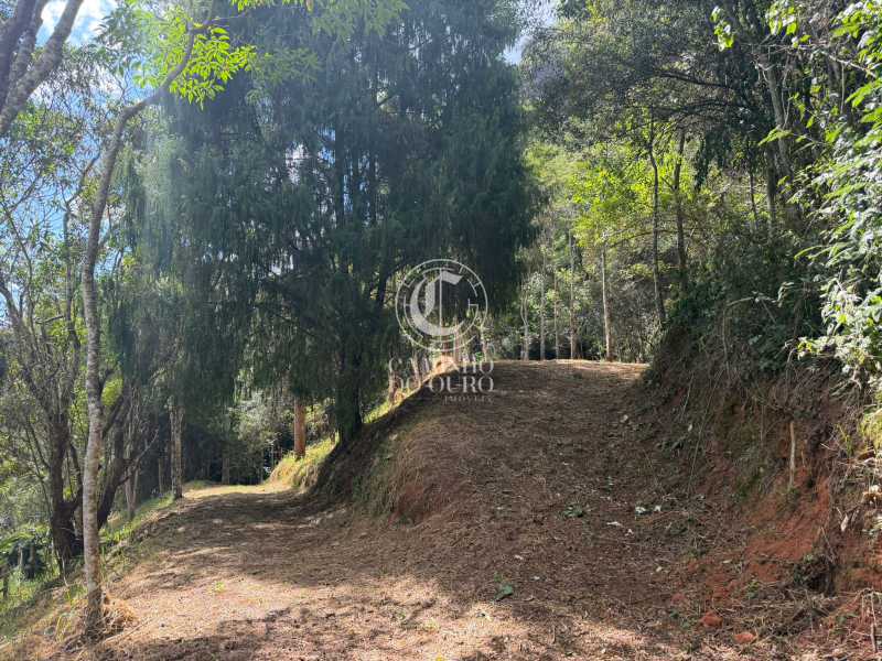 Terreno, 2 hectares - Foto 4
