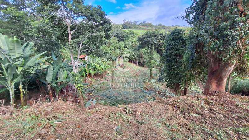 Terreno, 1320 m² - Foto 3