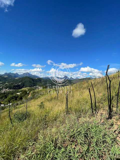 Terreno, 5000 m² - Foto 5