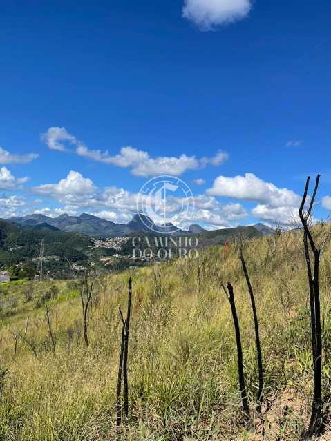 Terreno, 5000 m² - Foto 6