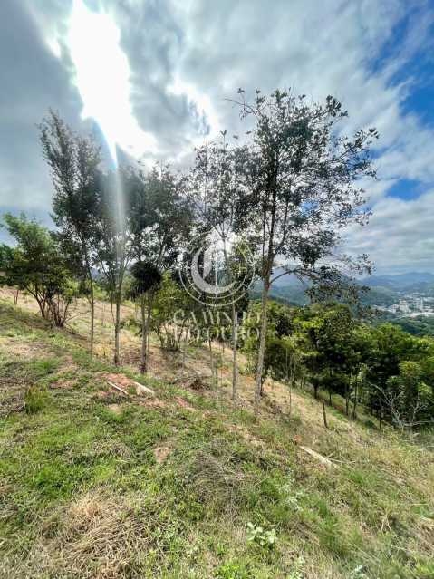 Terreno, 1200 m² - Foto 3