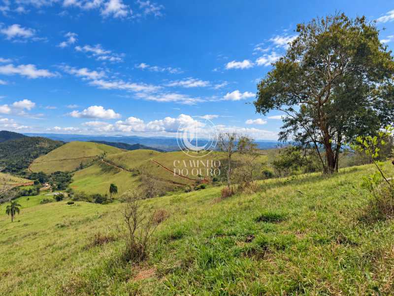 Fazenda - Foto 8
