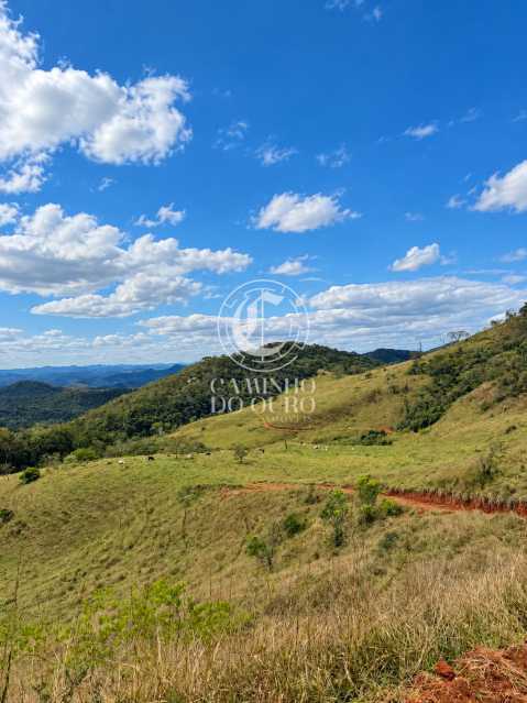 Fazenda - Foto 12