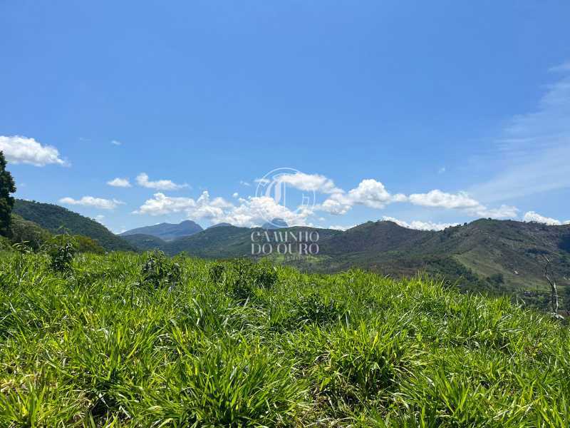 Terreno, 7684 m² - Foto 6