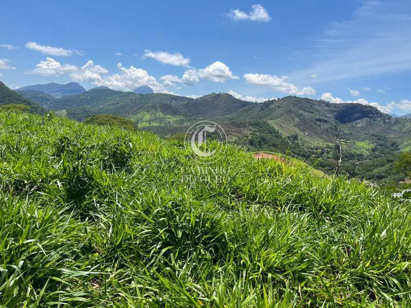Terreno, 7684 m² - Foto 4