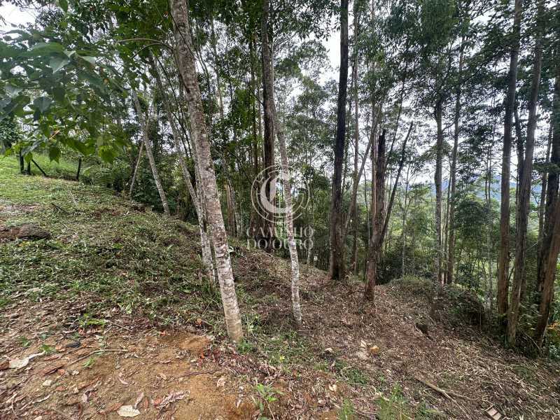 Terreno, 2300 m² - Foto 4