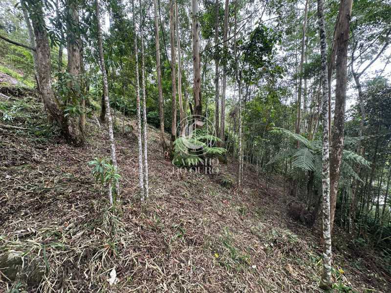 Terreno, 2300 m² - Foto 8