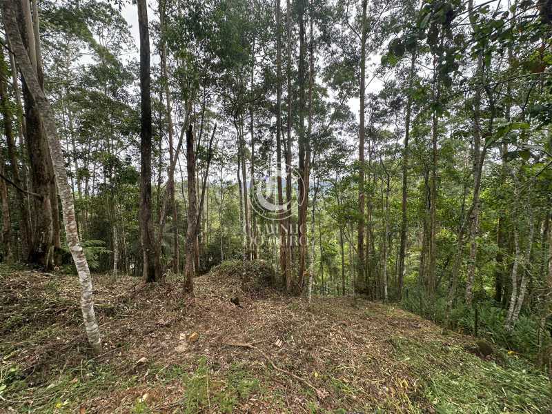 Terreno, 2300 m² - Foto 5