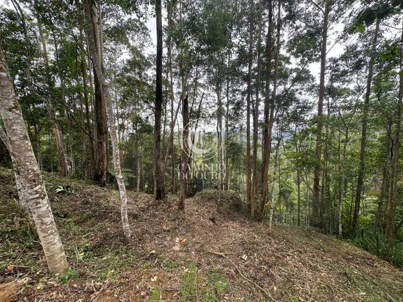 Terreno, 2300 m² - Foto 7