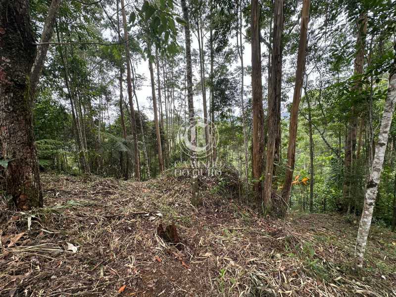 Terreno, 2300 m² - Foto 6