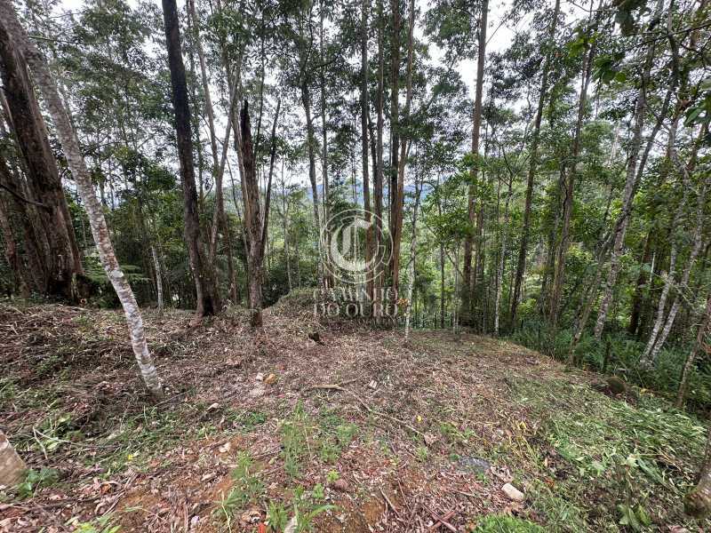 Terreno, 2300 m² - Foto 3