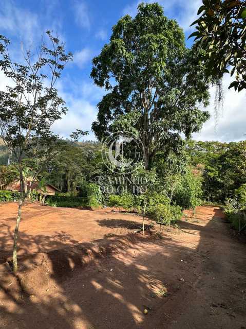 Terreno, 2300 m² - Foto 3