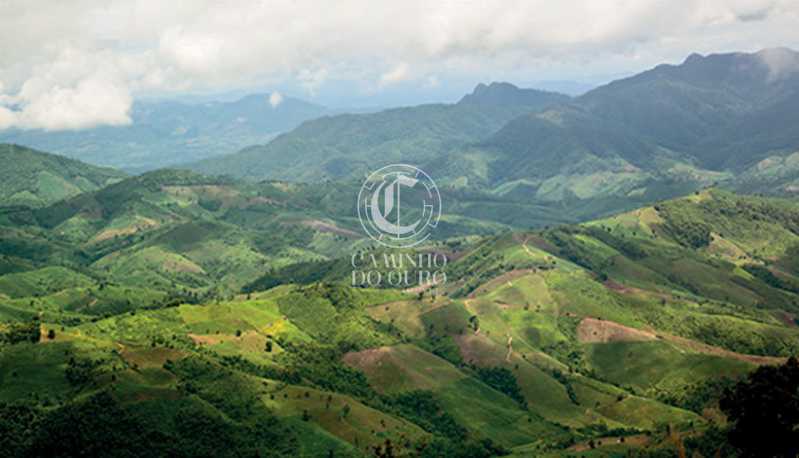 Terreno, 1740 m² - Foto 12