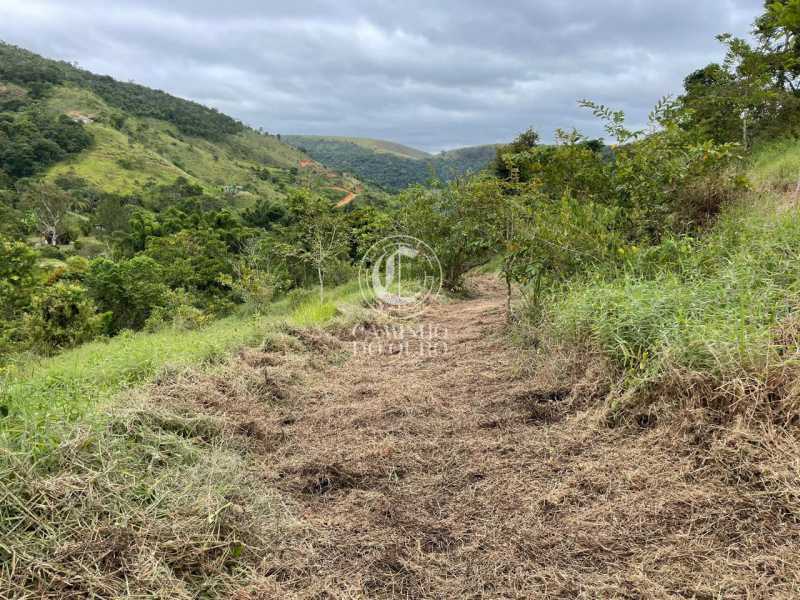 Terreno, 2 hectares - Foto 4