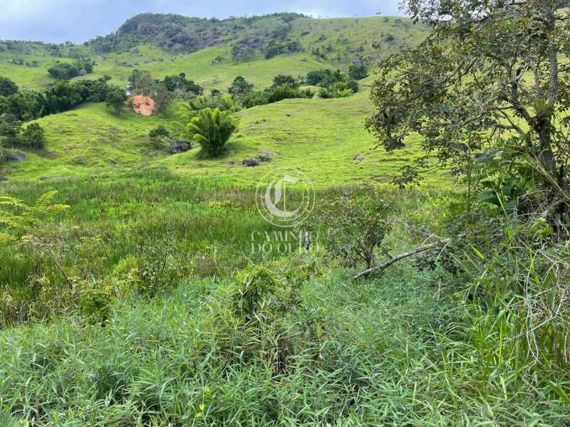 Terreno, 2 hectares - Foto 1