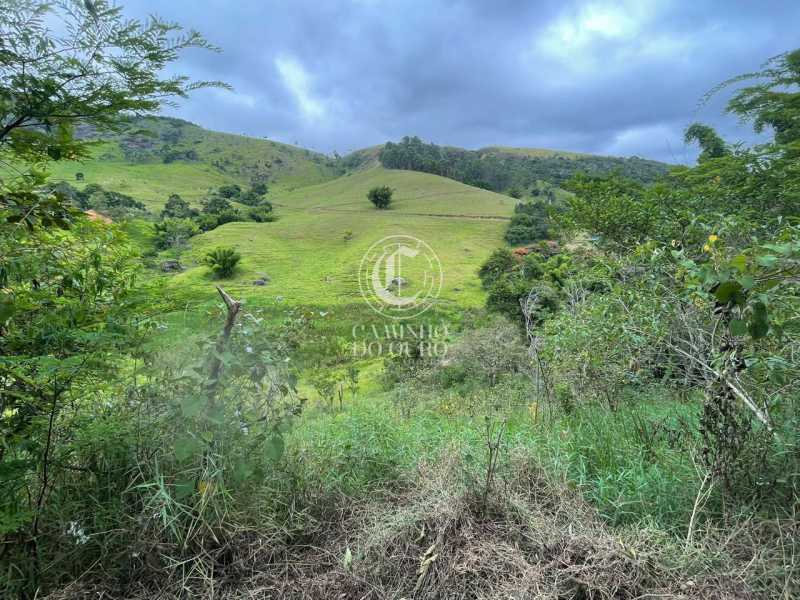 Terreno, 2 hectares - Foto 3