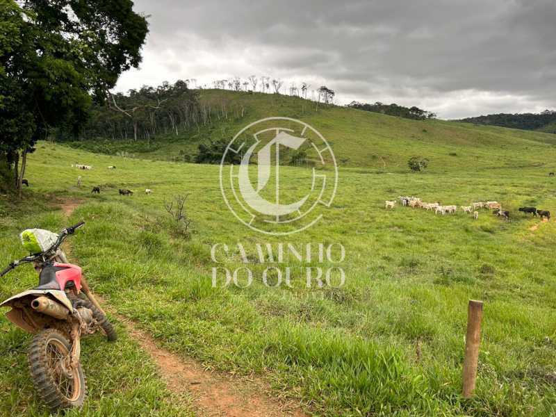 Fazenda - Foto 4