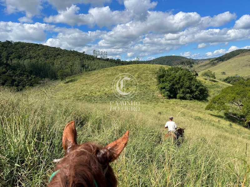 Fazenda - Foto 1