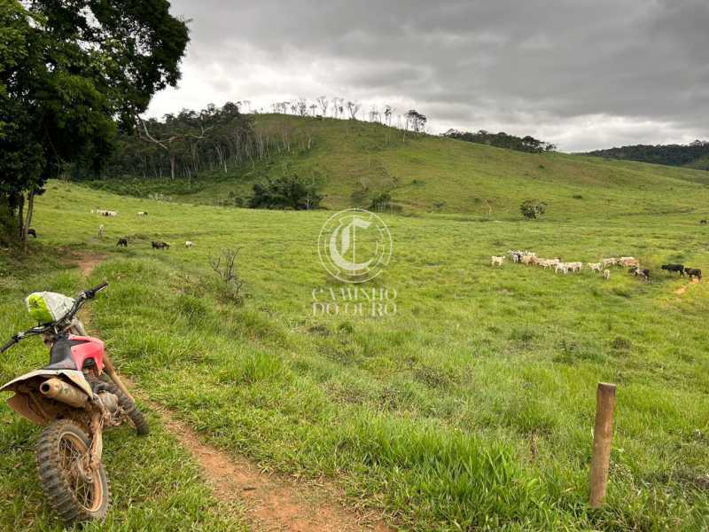 Fazenda - Foto 2
