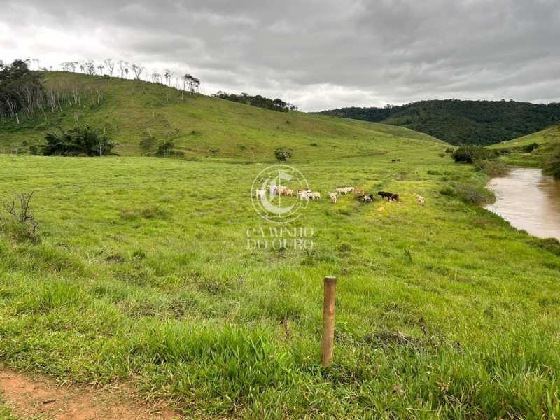 Fazenda - Foto 3