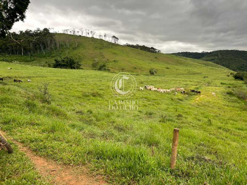 Fazenda - Foto 4