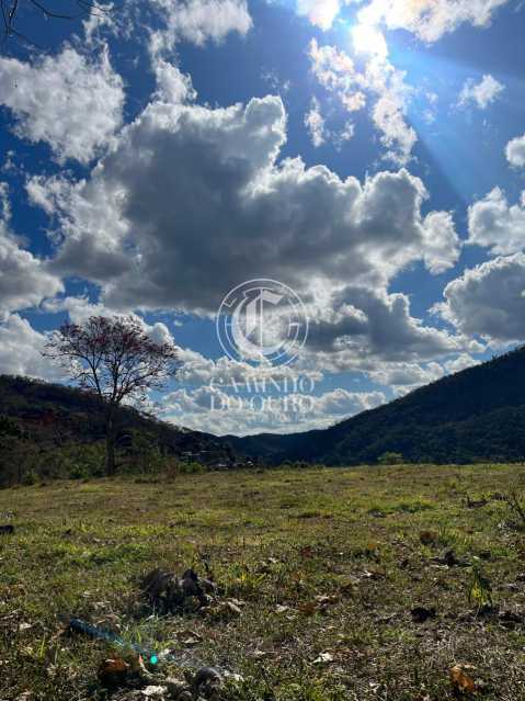 Terreno, 2 hectares - Foto 3