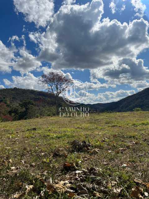 Terreno, 2 hectares - Foto 4