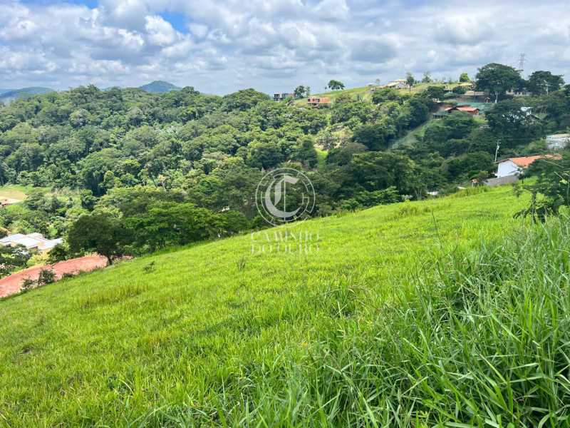 Terreno, 1167 m² - Foto 6