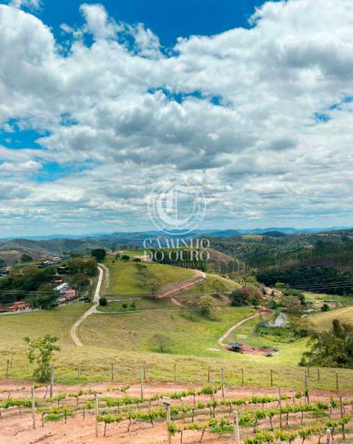 Terreno, 1167 m² - Foto 10