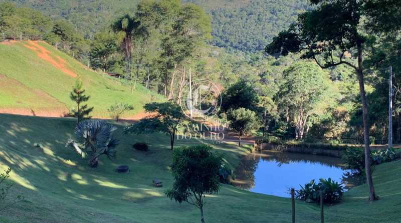 Terreno, 2 hectares - Foto 4