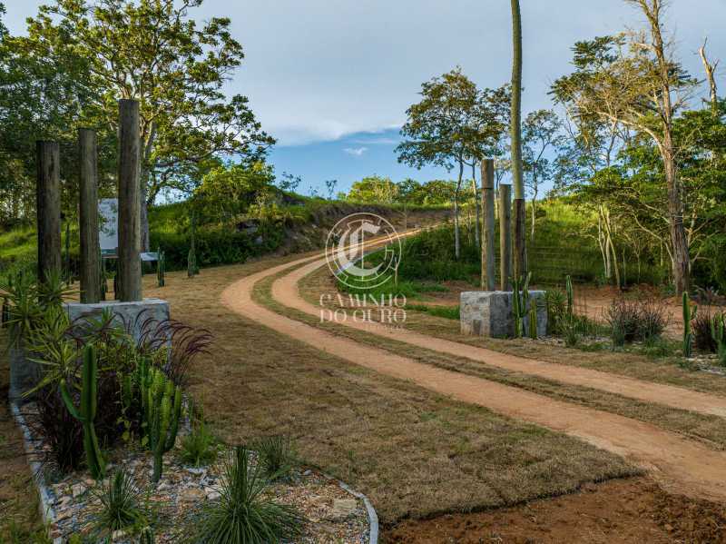 Terreno, 2 hectares - Foto 18